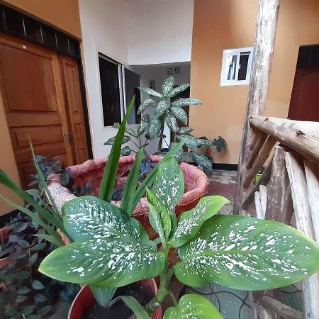 The Belle View Inn Bed & Breakfast Moshi Ngoại thất bức ảnh